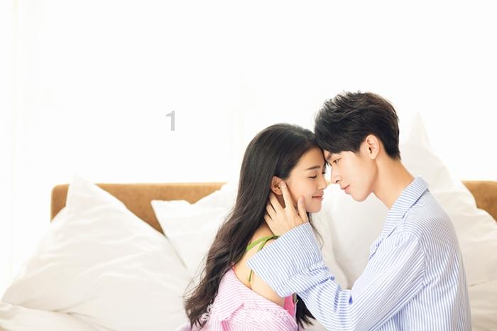 彼得比尔特379拼图