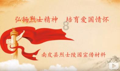 玄凤鹦鹉吹口哨学会一条会忘记别外一条吗?