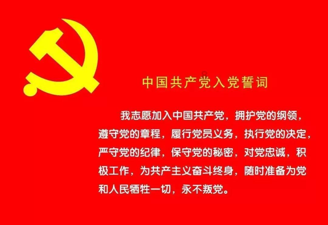 请知情人士帮我鉴定下这是什么品种的狗