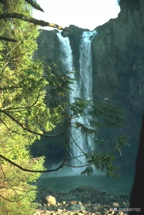 逃出猫头鹰岛