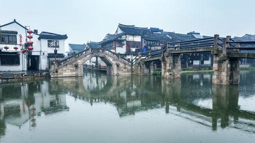 逃离大犀牛出没地