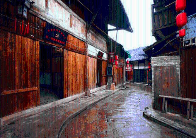 动物帮帮忙保卫家园
